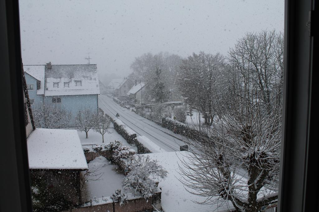 Gasthaus Zur Sonne Friburgo in Brisgovia Esterno foto